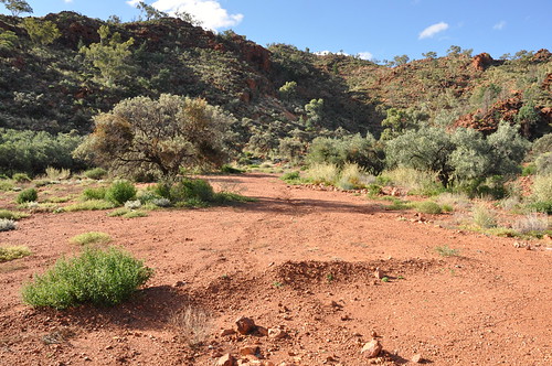 Flickr the 'hodgkinsons' mining area in the yudnamutana gorge section of the arkaroola wilderness sanctuary, in the far-northern flinders ranges of south australia
this site has been a key target of the mining industry over several decades, most recently by the company marathon resources until its exploration licence was suspended in early 2008 for illegally dumping waste both at this site and elsewhere in the sanctuary
hodgkinsons has been 'rehabilitated' according to the south australian department of primary industries and resources (PIRSA)
this may come as a surprise to anyone viewing the extensive and self-evident exploration scarring and erosion clearly visible here, in the heart of the magnificent yudnamutana gorge
marathon resources is currently negotiating a return to active drilling in the sanctuary, but fortunately the yudnamutana gorge will be off limits - however, other iconic areas in this magnificent sanctuary may not be...
for more see my <a rel=